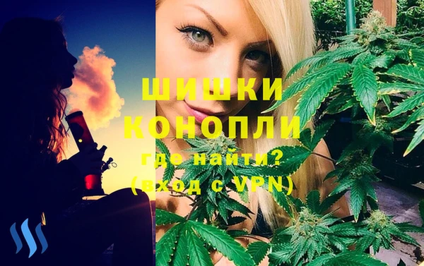 ALPHA PVP Осинники